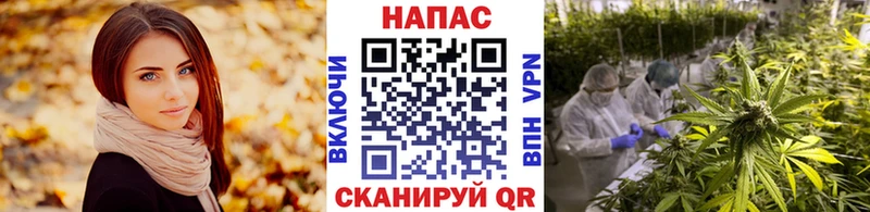 Конопля сатива Нижняя Тура