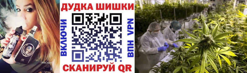 Бошки Шишки конопля  Нижняя Тура 